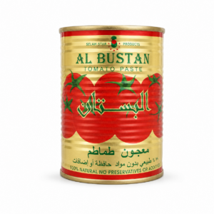 Al Bustan Tomato Paste 400gx12
